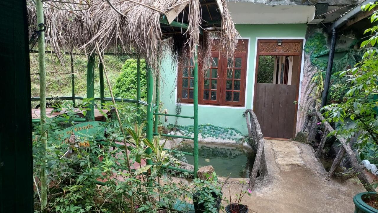 Green House Наллатания Экстерьер фото