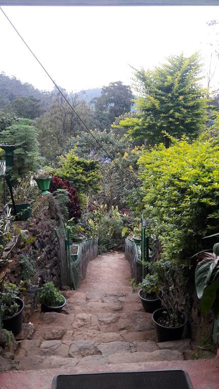 Green House Наллатания Экстерьер фото
